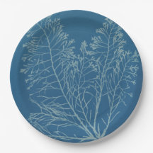 Anna Atkins - Botanic Photography, Vintage Design