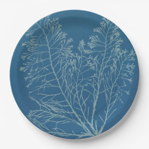 Anna Atkins - Botanic Photography, Vintage Design Paper Plate