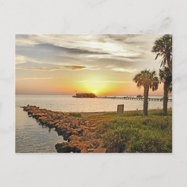 Anna Maria City Pier at Sunrise Postcard (Front)