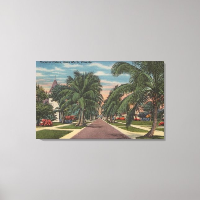 Anna Maria, Florida - View of Palms Along Street Canvas Print (Front)