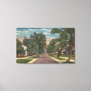 Anna Maria, Florida - View of Palms Along Street Canvas Print