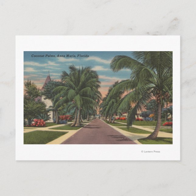 Anna Maria, Florida - View of Palms Along Street Postcard (Front)