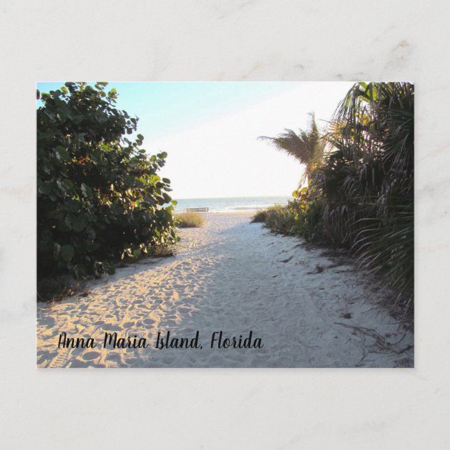 Anna Maria Island Florida - beach - sun Postcard (Front)