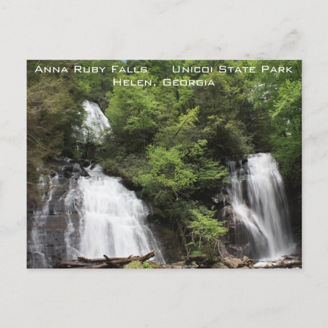 Anna Ruby Falls Postcard (Front)