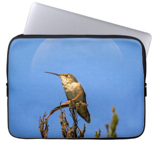 Anna’s Hummingbird Perched Against Full Moon Photo Laptop Sleeve