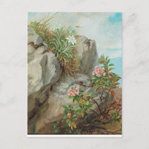 Anna Stainer-Knittel Vintage Alpine Roses Postcard