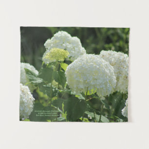 Annabelle Hydrangea Tapestry