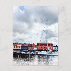 Annapolis Md - City Dock Postcard