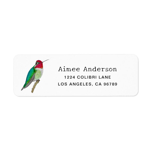 Anna's Hummingbird (Front)