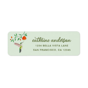 Anna's Hummingbird and Flowery Branch