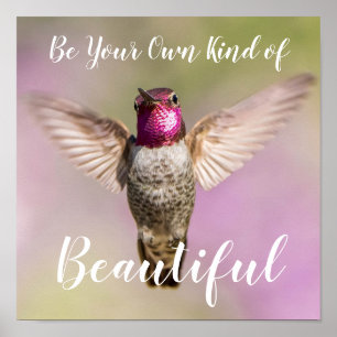 Anna's Hummingbird Inspirational Beauty Poster
