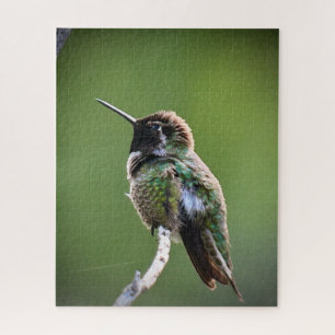 Anna's Hummingbird Jigsaw Puzzle