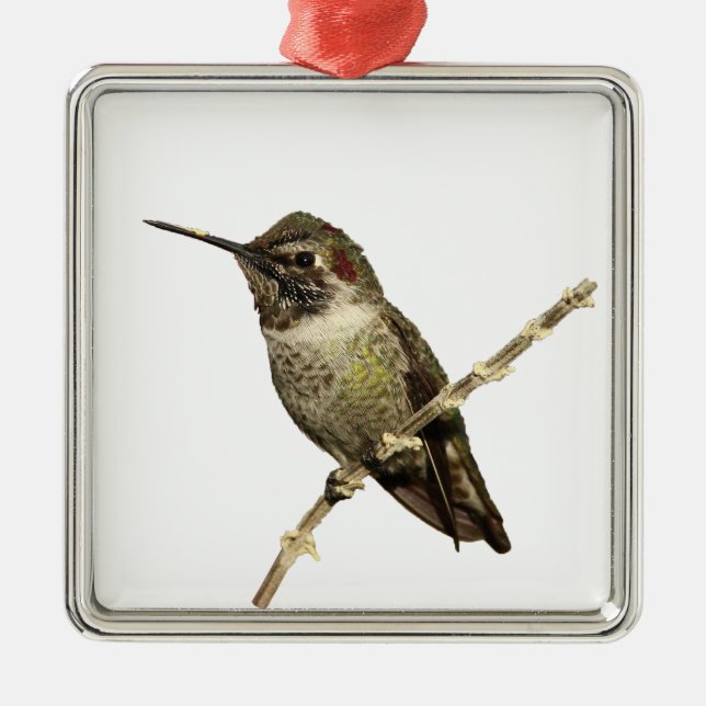 Anna's Hummingbird Metal Ornament (Front)