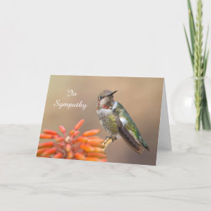 Anna's Hummingbird on Orange Aloe Sympathy Card