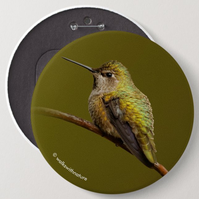Anna's Hummingbird on Scarlet Trumpetvine 6 Inch Round Button (Front & Back)