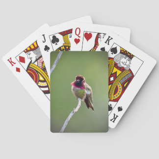 Anna's Hummingbird Playing Cards