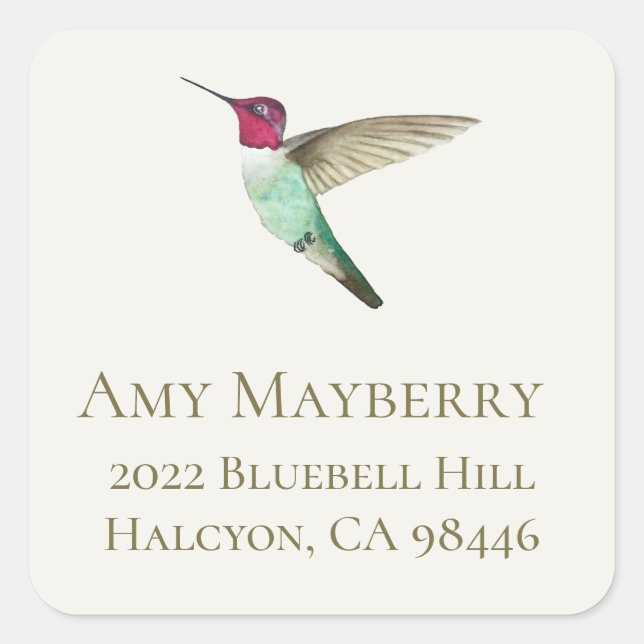 Anna's Hummingbird return address Square Sticker (Front)