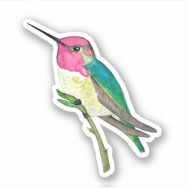 Anna's Hummingbird  Sticker (Front)