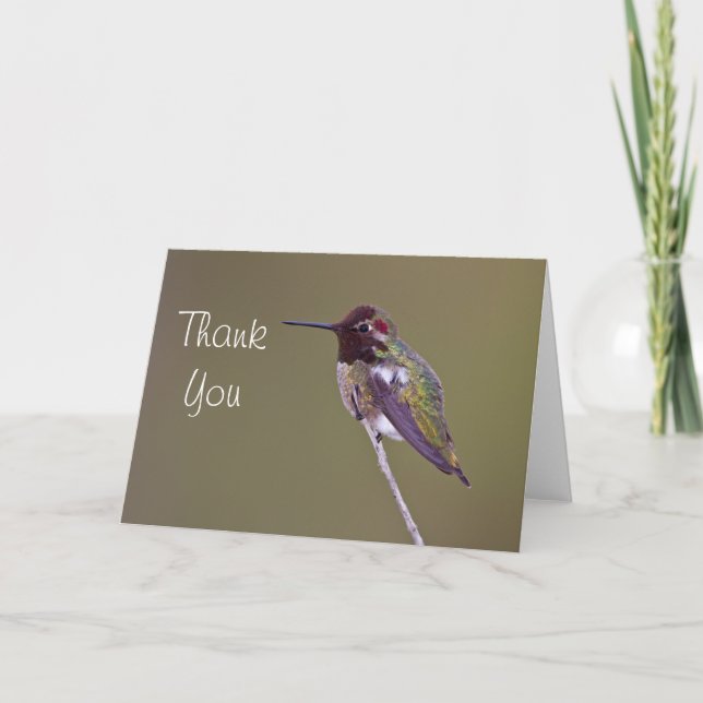 Anna's Hummingbird Thank you Card (Front)
