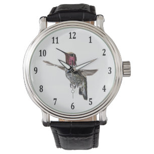 Anna's Hummingbird Watch