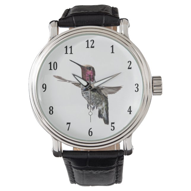 Anna's Hummingbird Watch (Front)