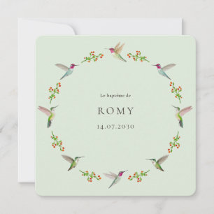 Anna's Hummingbirds Baptism