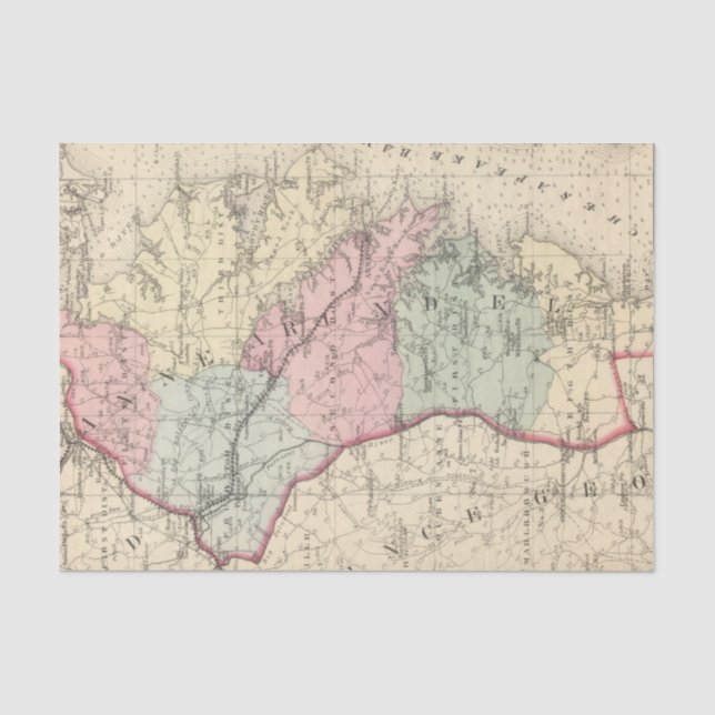 Anne Arundel Tissue Paper (Front)