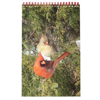 Année du calendrier des cardinaux