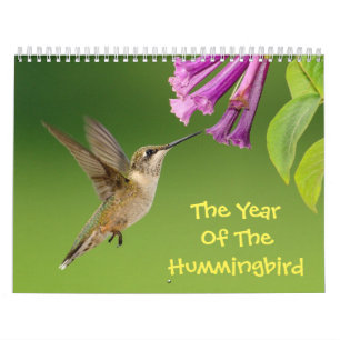 Année Du Calendrier Des Colibris