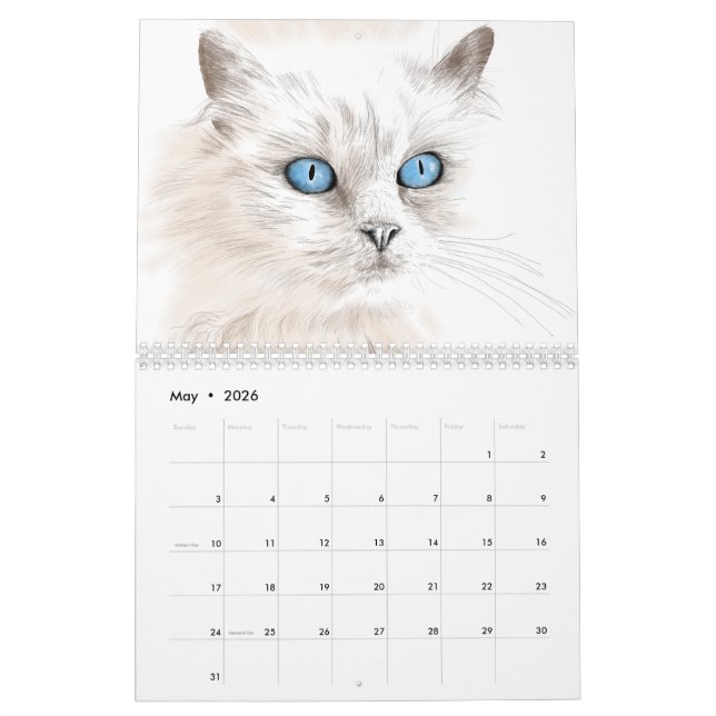 Année du calendrier des dessins de chat (Mai 2026)