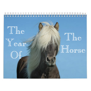 Année Du Calendrier Du Cheval