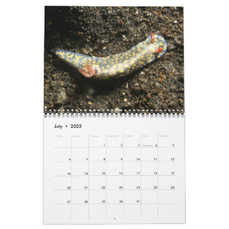 Année du calendrier Nudibranchs