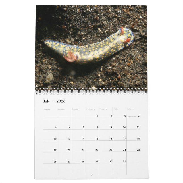 Année du calendrier Nudibranchs (Jul 2026)