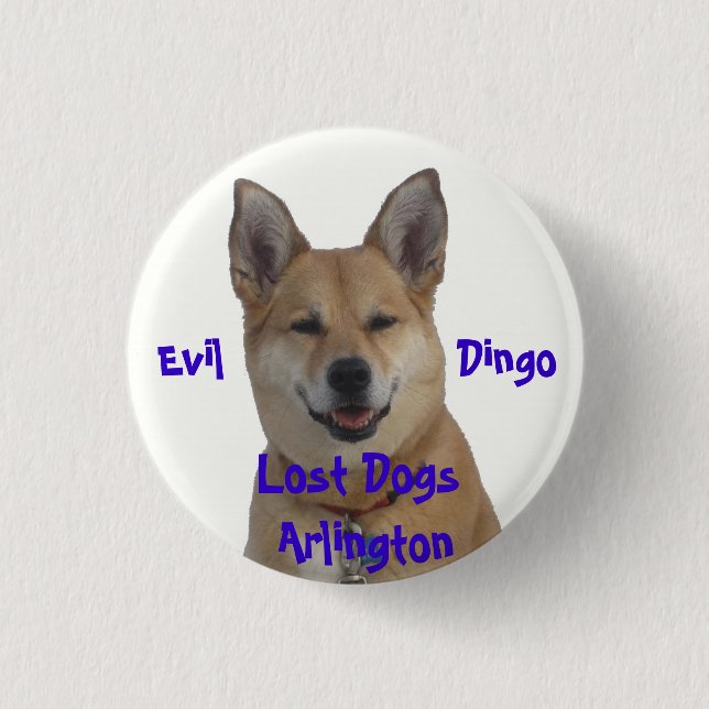 annie1234, Lost Dogs Arlington, Evil           ... 1 Inch Round Button (Front)