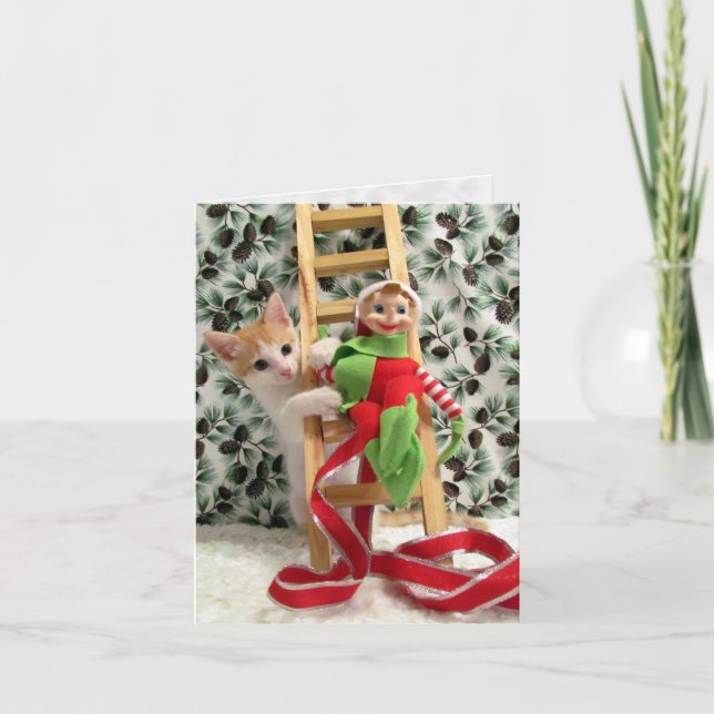 Annie et l'Elfe - Chat / Carte de Noël Kitten (Devant)