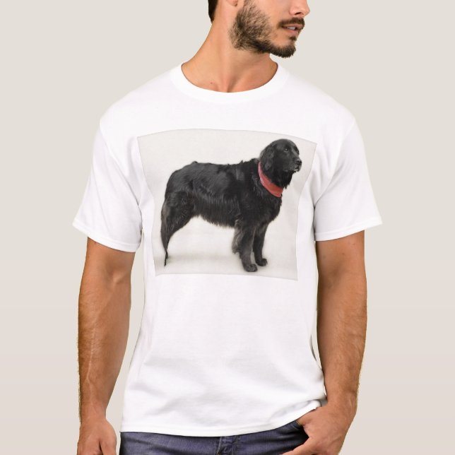Annie T-Shirt (Front)