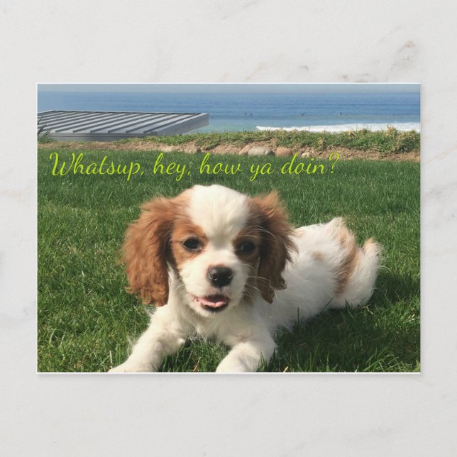 Annie the Queen, Greeting Card (Front)