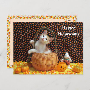 Annie's Curious Halloween Cat  Postcard