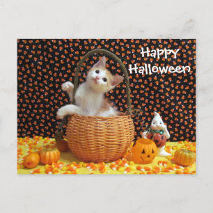 Annie's Sweet Halloween Cat / Kitten Postcard (b)