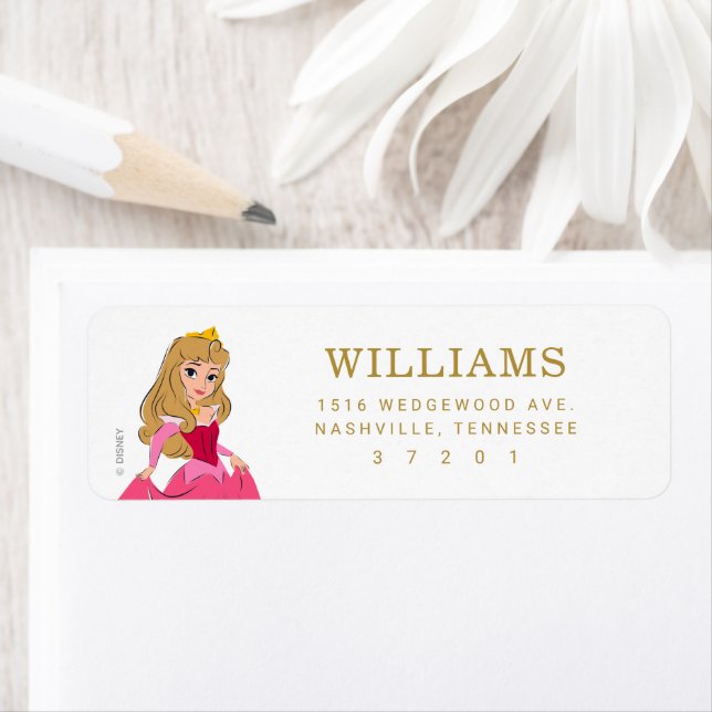 Anniversaire de Disney Princess Aurora (En situation)