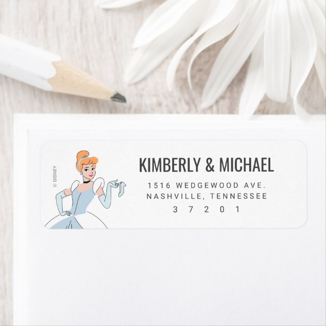 Anniversaire de Disney Princess Cinderella (En situation)