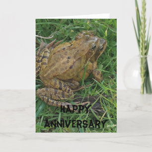 Anniversaire de la grenouille Bonne carte d'annive