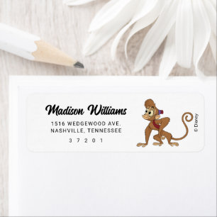 Anniversaire de la princesse Jasmine enchantée