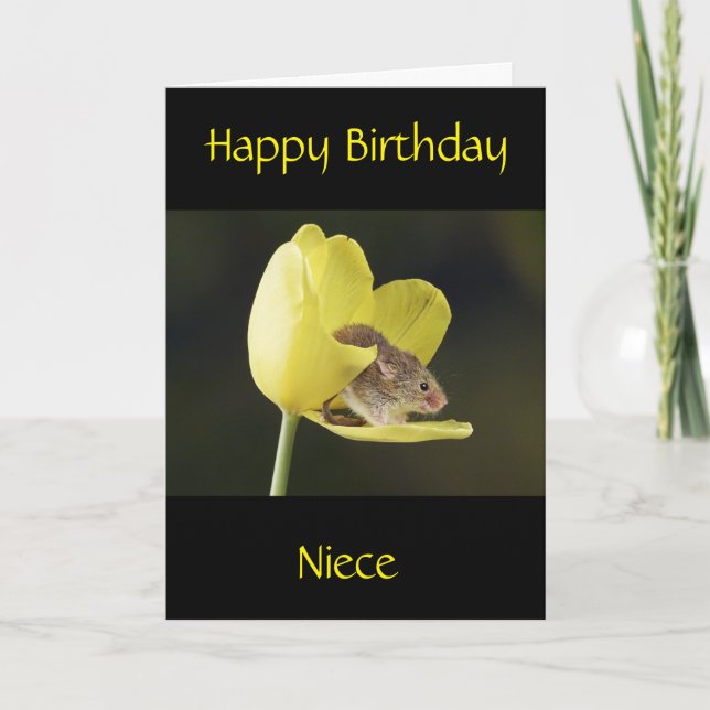 **ANNIVERSAIRE DE MA NIECE** Carte (Devant)