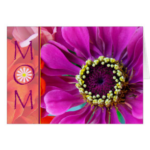 Anniversaire de Maman Purple Zinnia Flower