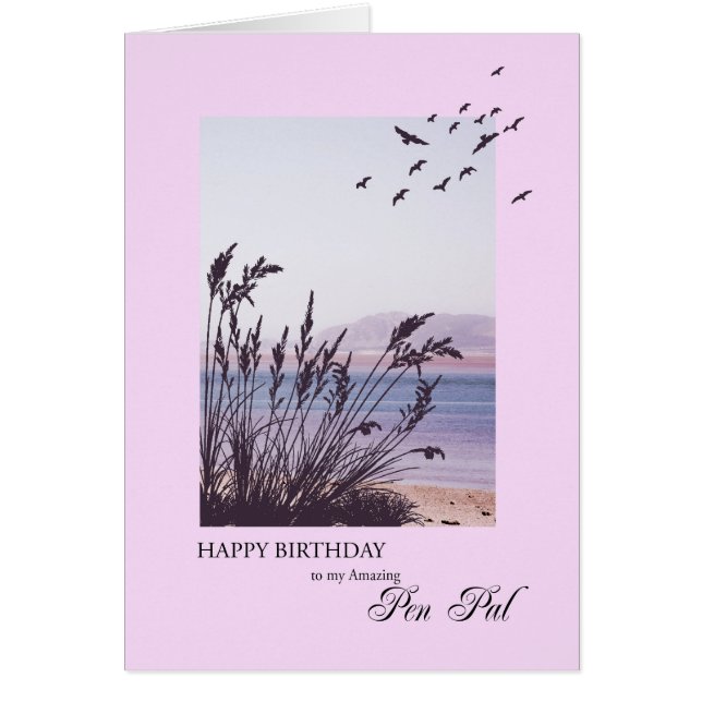 Anniversaire de Pen Pal, Scène balnéaire (Devant)