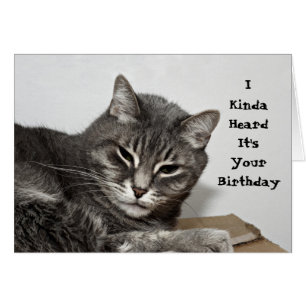 Anniversaire drôle gris de chat tigré