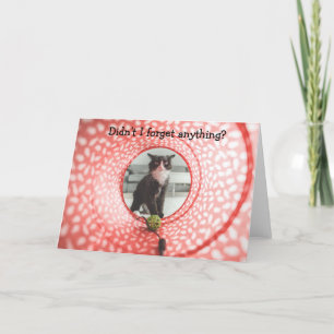 Anniversaire en retard? Carte drôle avec chat