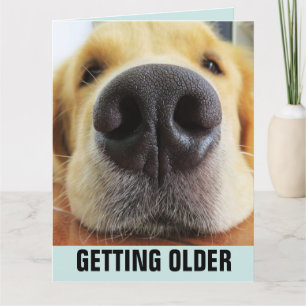 ANNIVERSAIRE FUNNY DEVENIR CHIEN PLUS ÂGÉ CARTE DE