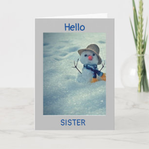 **ANNIVERSAIRE HIVER À MA CARTE * SOEUR*